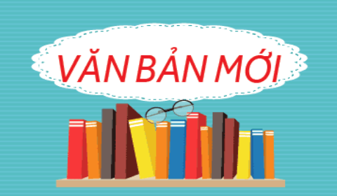 Một số điểm cần lưu ý về thẩm quyền của kiểm soát viên thị trường hiện nay trong xử lý vi phạm hành chính
