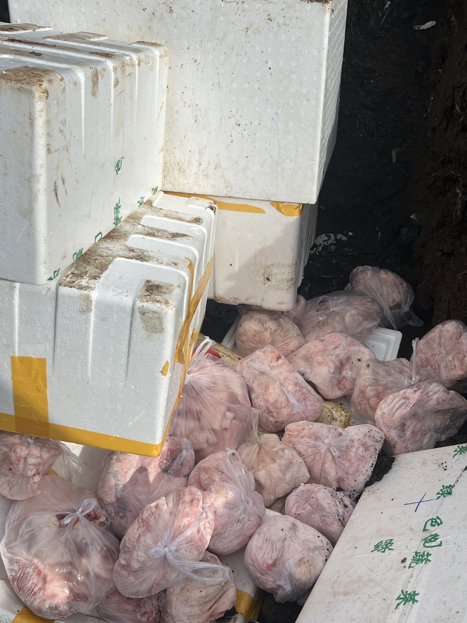 Đắk Lắk: Tiêu hủy 400kg thịt heo không rõ nguồn gốc, phạt gần 50 triệu đồng